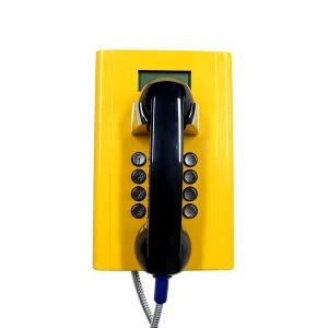 Vandal Resistant pansrede speakerphone